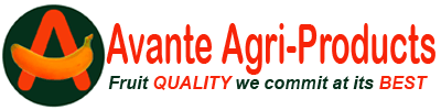 avante-logo-with-text2