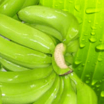 banana-in-leaves