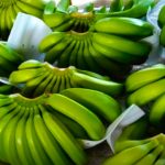 BananasPacking
