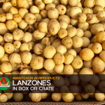 product-template-lanzones2